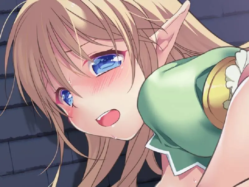 图片[2]-698-精灵娘的果实-汉化版-1.0-电脑 [1.40GB]-ACG米咔-游戏网-热门单机游戏下载