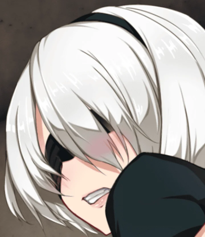 810-尼尔：堕落-汉化版-1.00-电脑+安卓 [199MB]-ACG米咔-游戏网-热门单机游戏下载